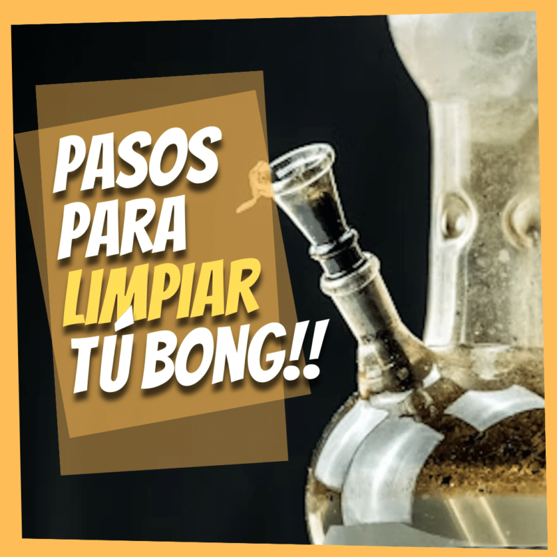 limpiar bong